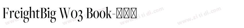 FreightBig W03 Book字体转换